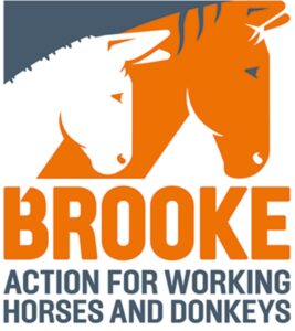 Brooke - Action for Working Horses and Donkeys